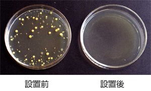 除菌の比較